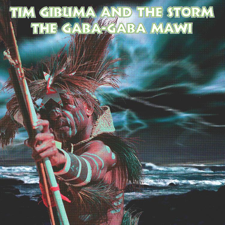 Tim Gibuma And The Storm's avatar image