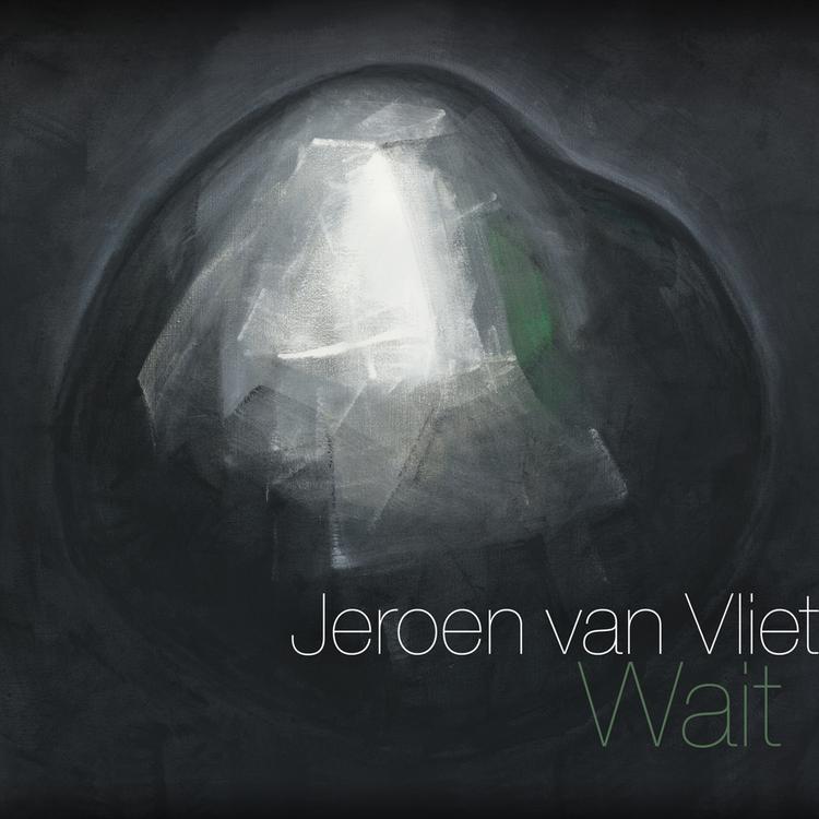 Jeroen van Vliet's avatar image