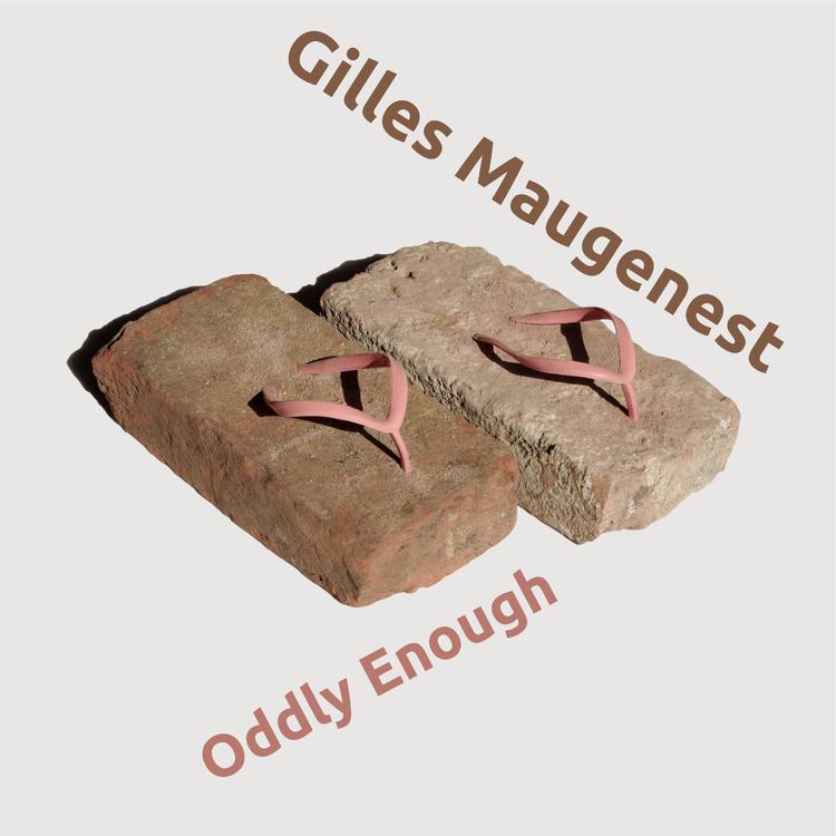 Gilles Maugenest's avatar image