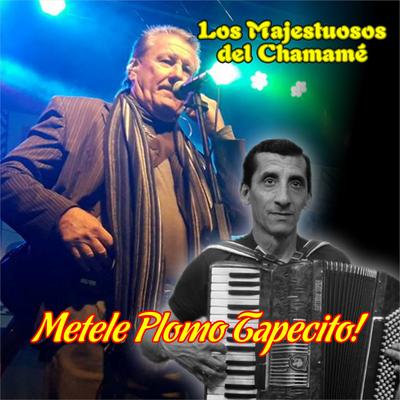 Metele Plomo Tapecito !'s cover