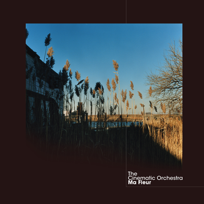 To Build A Home By The Cinematic Orchestra, Patrick Watson's cover