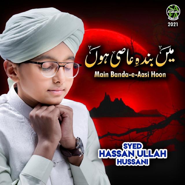 Syed Hassan Ullah Hussani's avatar image