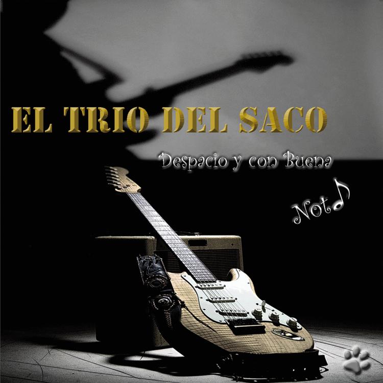 El Trio del Saco's avatar image