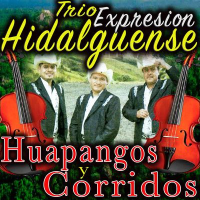 Huapangos y Corridos's cover