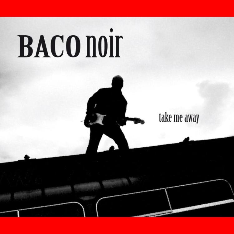 Baco noir's avatar image