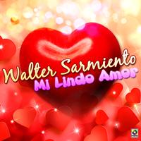 Walter Sarmiento's avatar cover