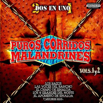 Puros Corridos Malandrines Vol. 1 y 2's cover