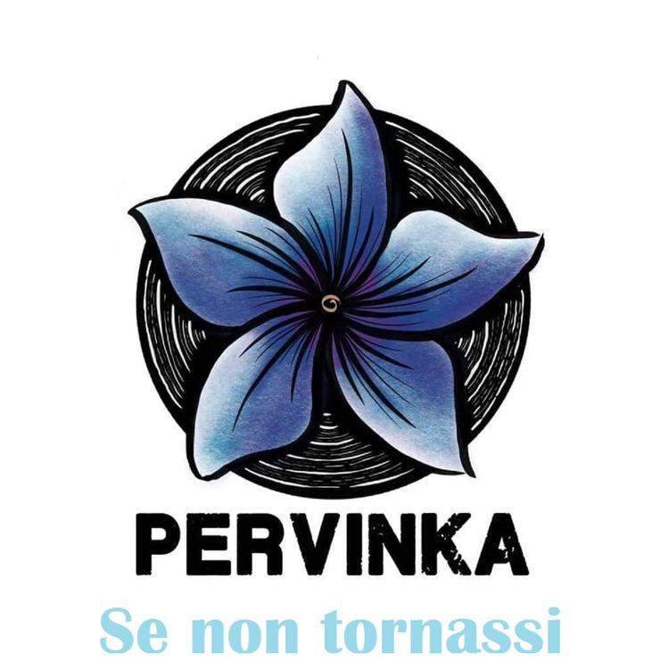 Pervinka's avatar image