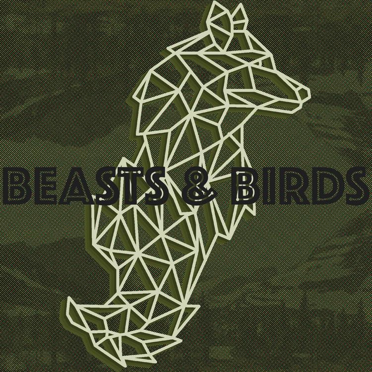Beasts & Birds's avatar image