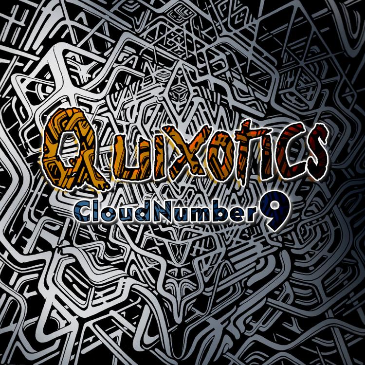 Quixotics's avatar image