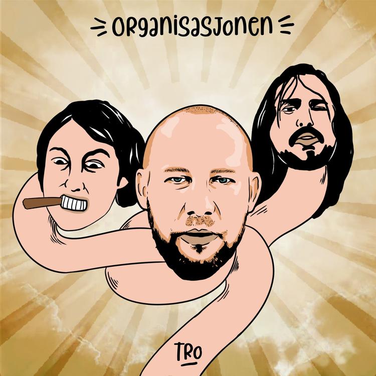 Organisasjonen's avatar image