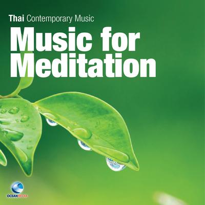 Music for Meditation's cover