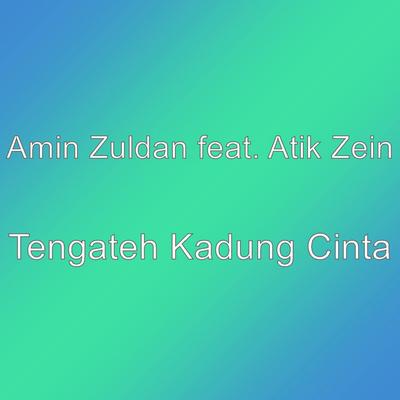 Amin Zuldan's cover