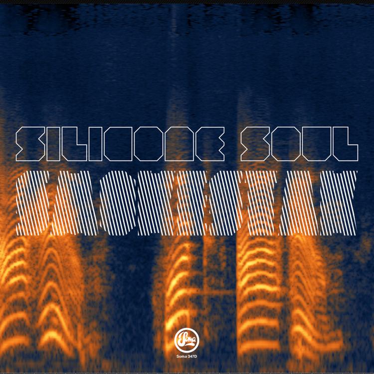 Silicone Soul's avatar image
