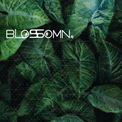 Transience By Blossomn's cover