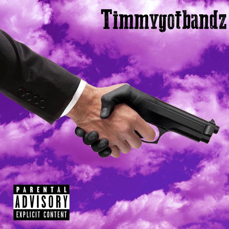 Timmygotbandz's avatar image