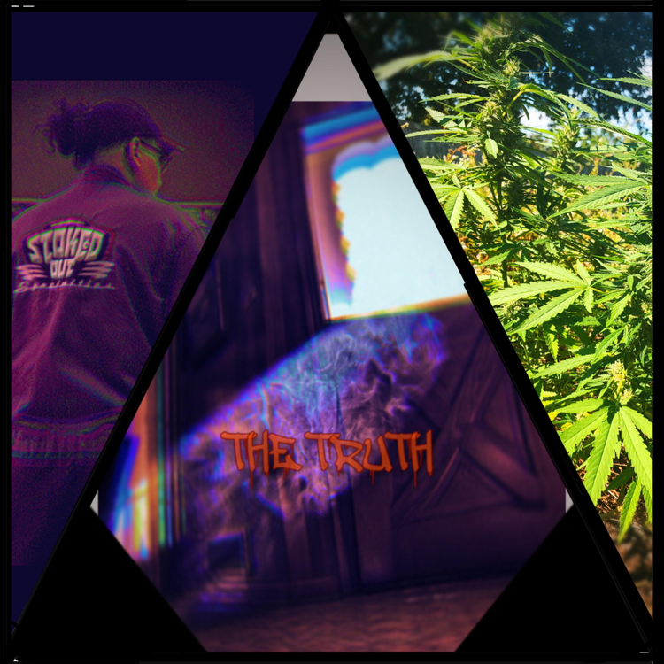 TreeHugger-T's avatar image