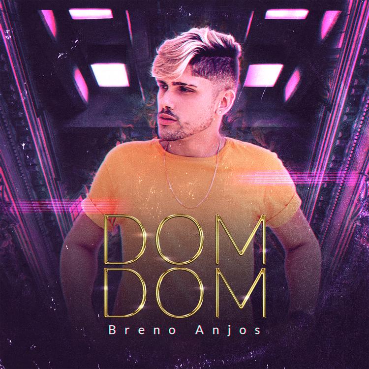Breno Anjos's avatar image