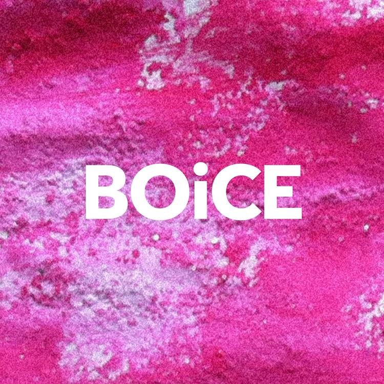 Boice's avatar image