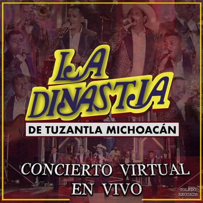 Concierto Virtual (En Vivo)'s cover