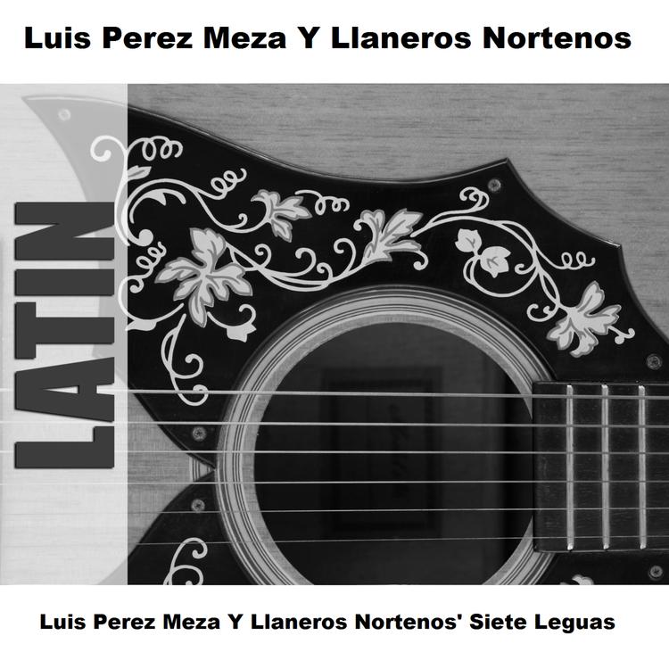 Luis Perez Meza Y Llaneros Nortenos's avatar image