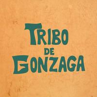 Tribo de Gonzaga's avatar cover