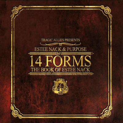 14 Forms: The Book of Estee Nack's cover