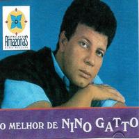 Nino Gato's avatar cover