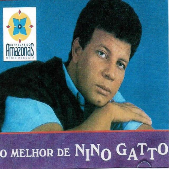 Nino Gato's avatar image