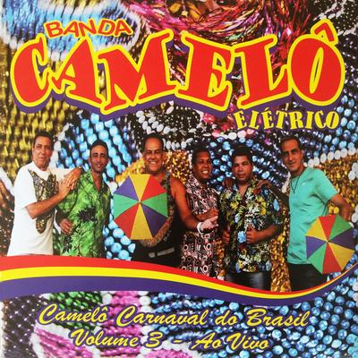 Bicho Maluco Beleza (Ao Vivo) By Banda Camelô's cover