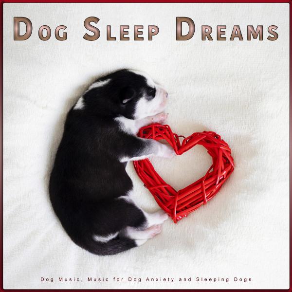 Dog Sleep Dreams's avatar image