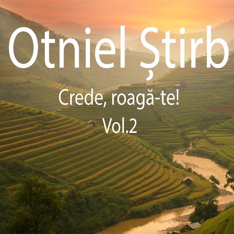 Otniel Știrb's avatar image