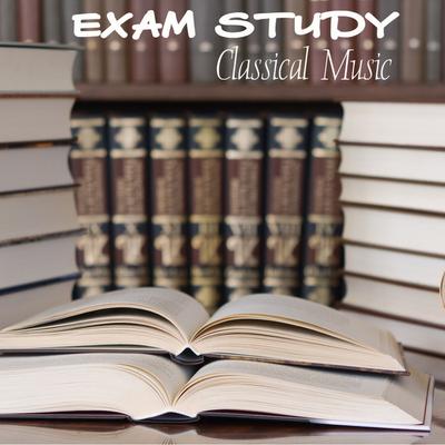 Exam Study Classical Music Orchestra's cover