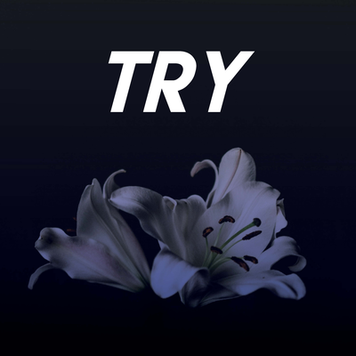 Try By Sassydee's cover