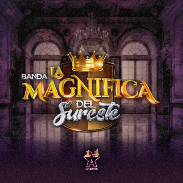 Banda La Magnífica Del Sureste's avatar image