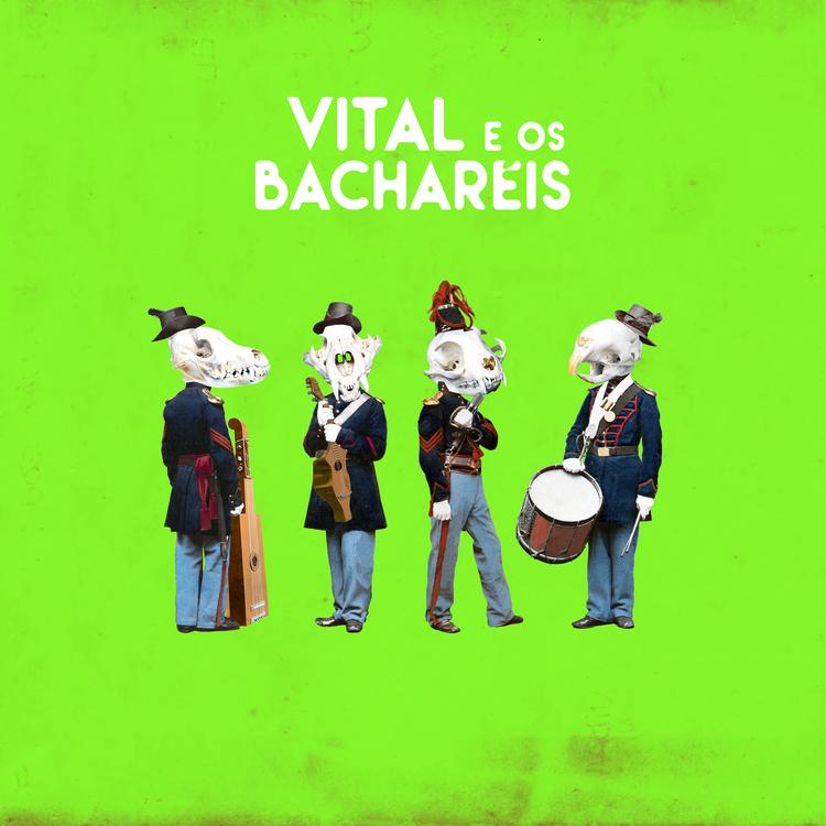Vital E Os Bacharéis's avatar image