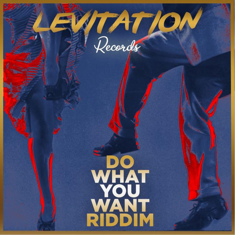 Levitation Records's avatar image