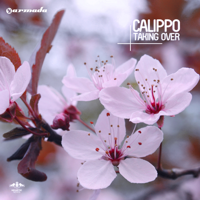 Need a Friend (Original Mix) By Calippo's cover