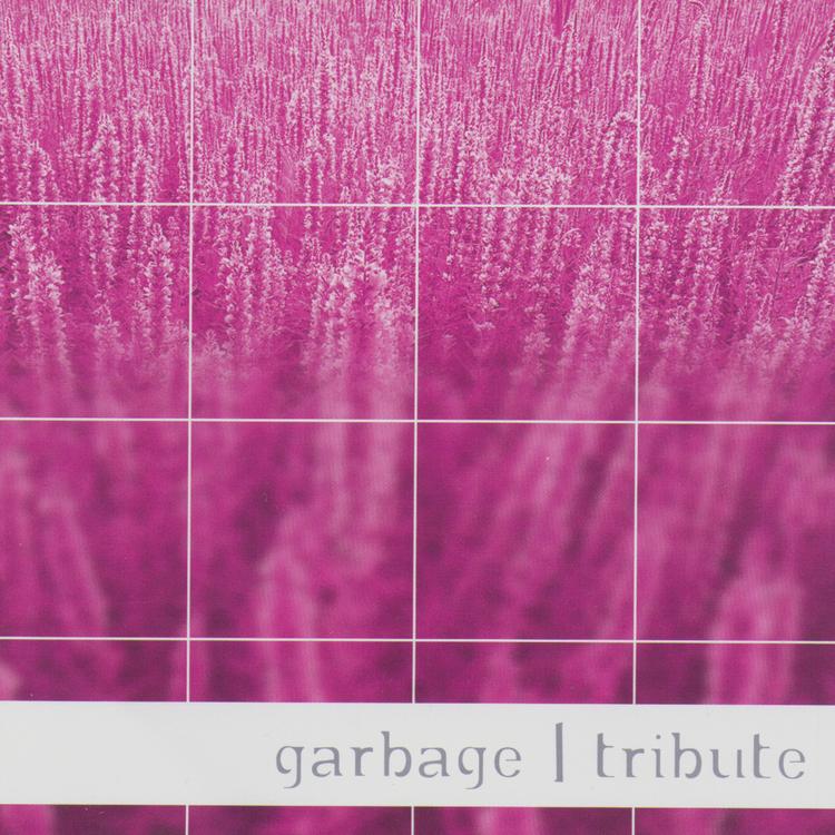 Garbage Tribute Band's avatar image