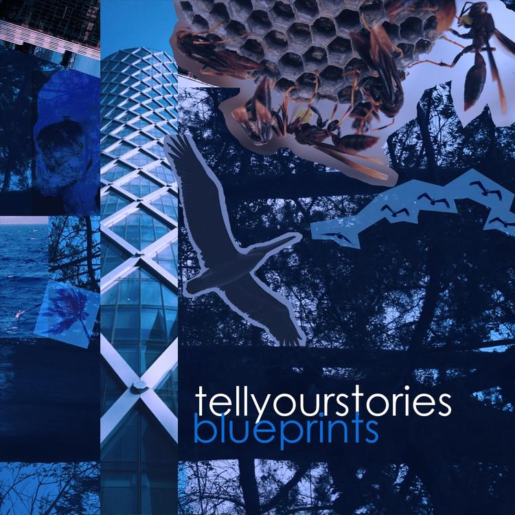 Tell Your Stories's avatar image