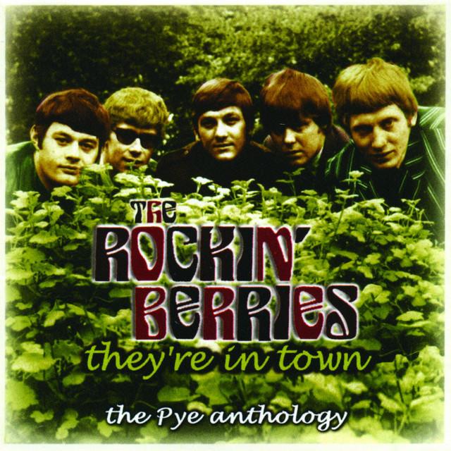 The Rockin' Berries's avatar image