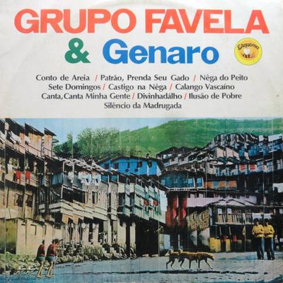 Divinhadalho By Grupo Favela, Genaro's cover