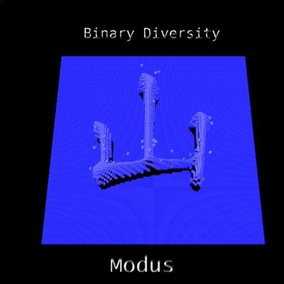 Binary Diversity's cover