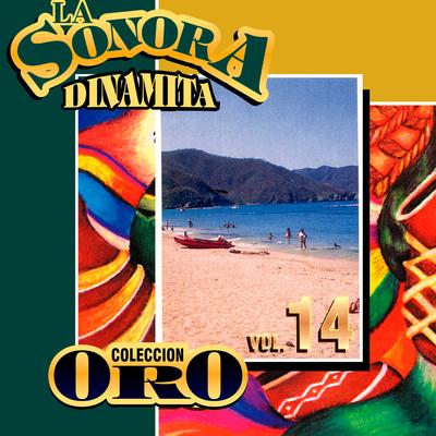 La Cortina By La Sonora Dinamita's cover