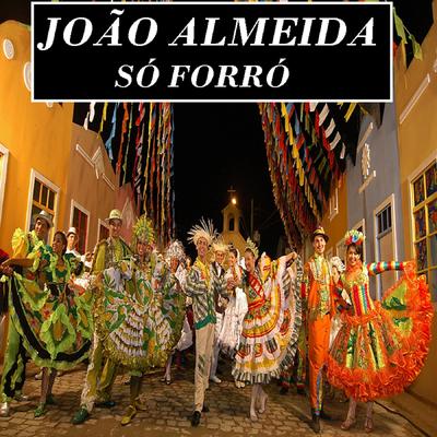 Amor Amigo By João Almeida, Flávio José's cover