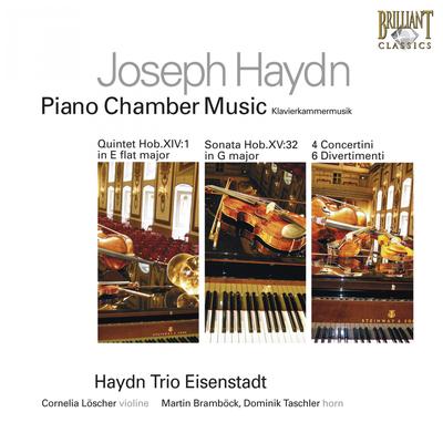 Haydn Trio Eisenstadt's cover