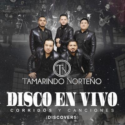 Disco en Vivo Corridos y Canciones (Discovers)'s cover