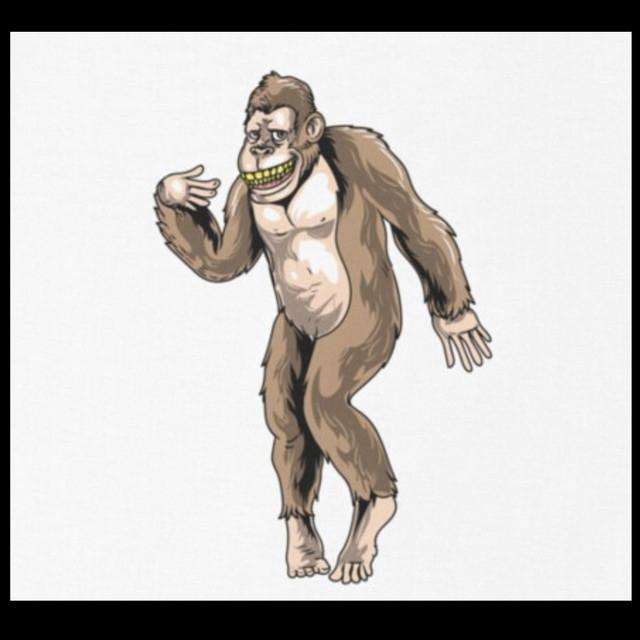 DJ Mashup Monkey's avatar image
