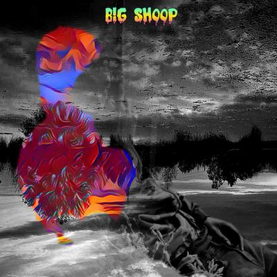 Big Shoop's cover