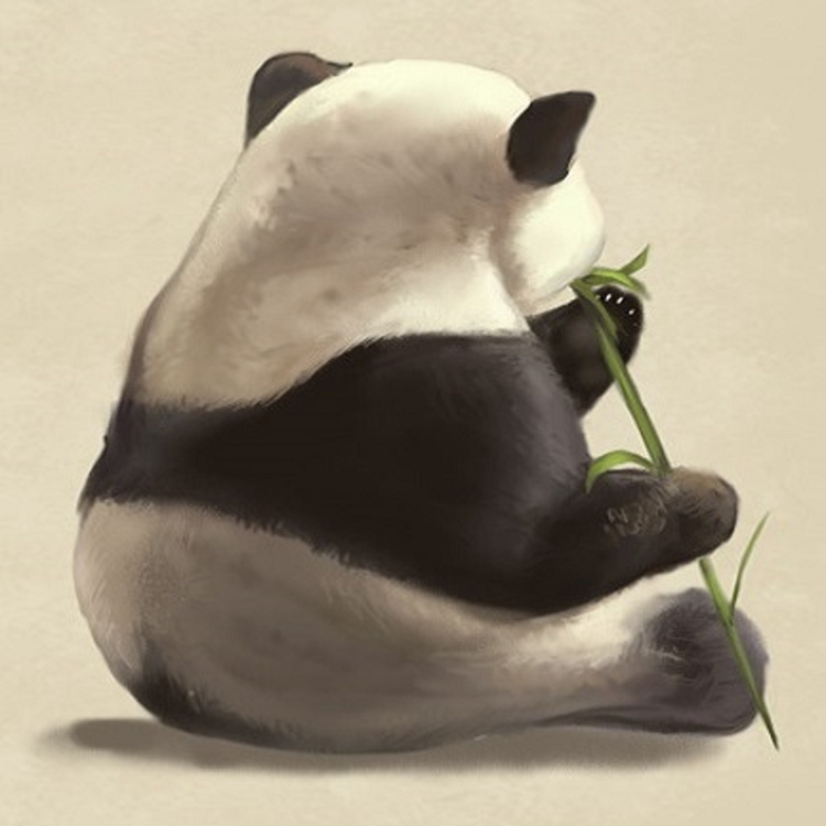夜姫と熊猫's avatar image